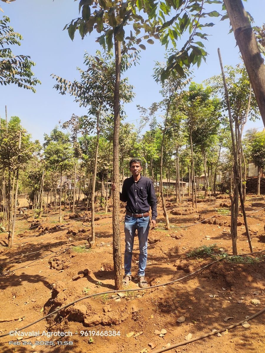 Vrukshraj Plantation Farm