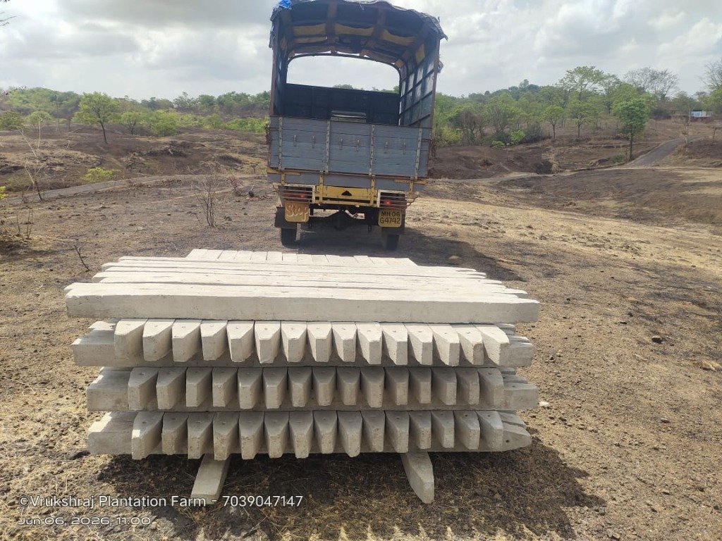 Boundary Fence Posts