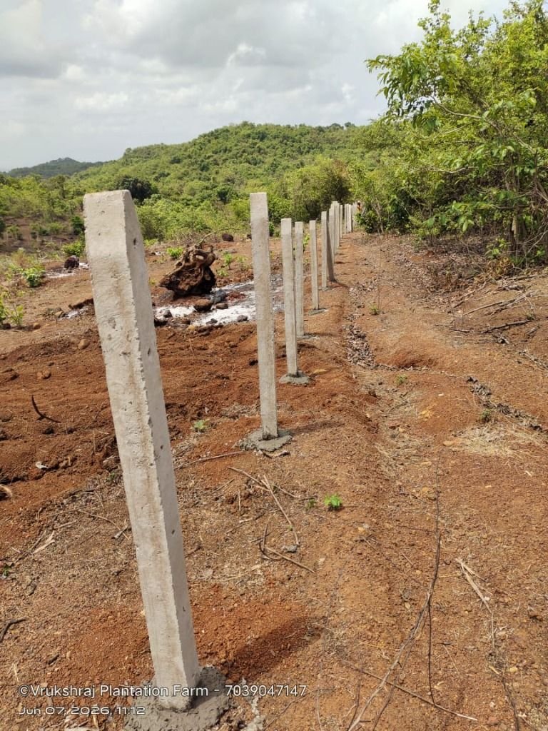 Fence Erection Work