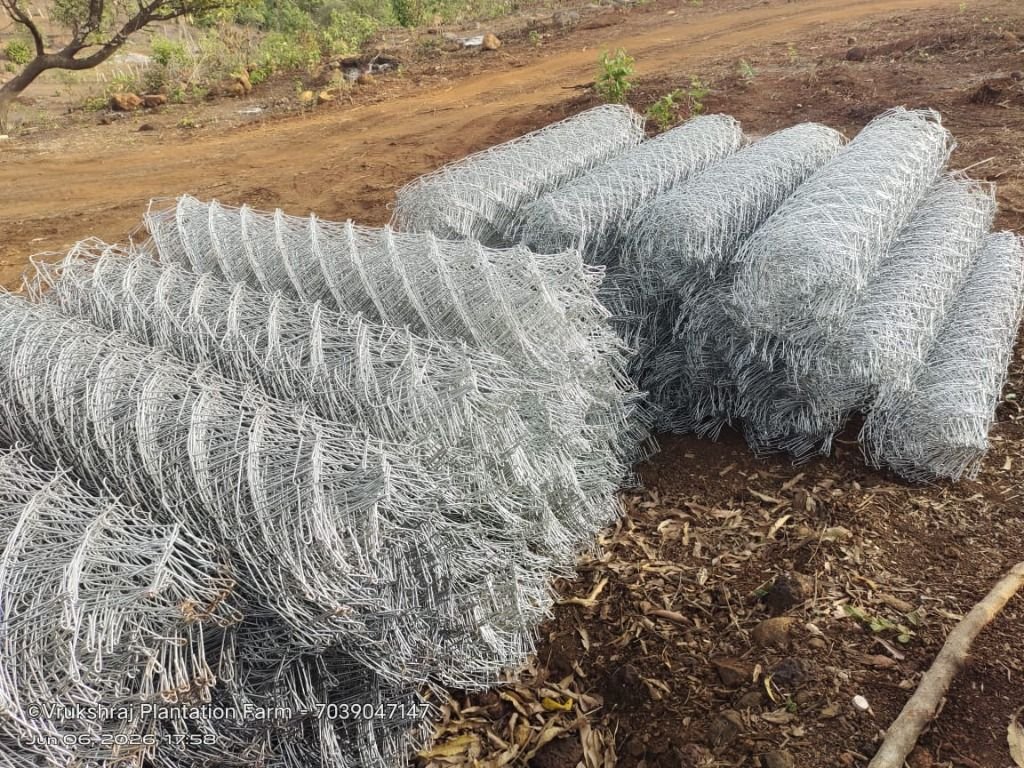Boundary Chain-link Mesh